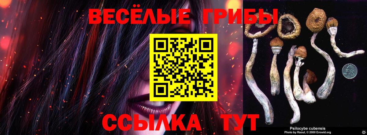 Галлюциногенные грибы Psilocybe Коломна